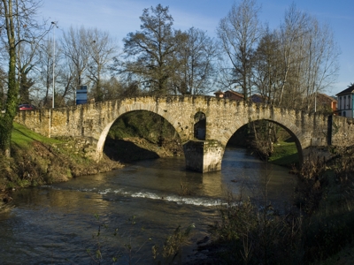 Evoluci&oacute;n hist&oacute;rico-constructiva del puente de Colloto